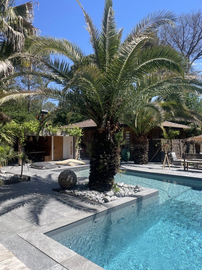 VILLA PALMERA AIRBNB PISCINE